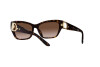 Occhiali da Sole Ralph Lauren RL 8206U (500313)