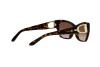 Occhiali da Sole Ralph Lauren RL 8206U (500313)