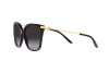 Sonnenbrille Ralph Lauren RL 8209 (50018G)