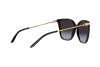 Sonnenbrille Ralph Lauren RL 8209 (50018G)