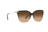 Sonnenbrille Ralph Lauren RL 8209 (602274)