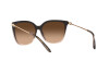 Sonnenbrille Ralph Lauren RL 8209 (602274)