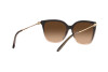 Sonnenbrille Ralph Lauren RL 8209 (602274)