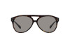 Lunettes de soleil Ralph Lauren The Cruiser RL 8211U (5003R5)