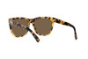 Lunettes de soleil Ralph Lauren The Ricky II RL 8212 (500473)