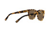 Lunettes de soleil Ralph Lauren The Ricky II RL 8212 (500473)