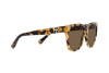 Lunettes de soleil Ralph Lauren The Ricky II RL 8212 (500473)