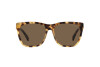 Lunettes de soleil Ralph Lauren The Ricky II RL 8212 (500473)