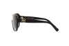 Lunettes de soleil Ralph Lauren The Dillion RL 8214U (500113)