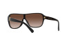 Lunettes de soleil Ralph Lauren The Dillion RL 8214U (500113)