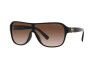 Lunettes de soleil Ralph Lauren The Dillion RL 8214U (500113)