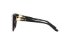 Солнцезащитные очки Ralph Lauren RL 8215BU (500113)