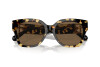 Lunettes de soleil Ralph Lauren The Overszed Ricky RL 8221 (500473)