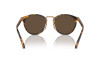 Lunettes de soleil Ralph Lauren The Quincy RL 8223 (513453)