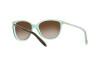 Lunettes de soleil Ralph RA 5160 (601/13)