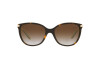 Lunettes de soleil Ralph RA 5160 (601/13)