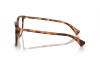 Lunettes de vue Ralph RA 7147 (6089)