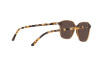 Солнцезащитные очки Ray-Ban Leonard RB 2193 (663693)