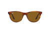 Occhiali da Sole Ray-Ban Scuderia Ferrari Collection RB 2202M (F66733)