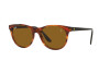 Occhiali da Sole Ray-Ban Scuderia Ferrari Collection RB 2202M (F66733)