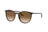 Occhiali da Sole Ray-Ban RB 2204 (902/51)