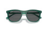 Sunglasses Ray-Ban RB 2210 (6615B1)