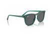 Sunglasses Ray-Ban RB 2210 (6615B1)