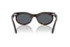 Sunglasses Ray-Ban Wayfarer Oval RB 2242 (902/R5)