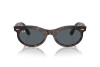 Sunglasses Ray-Ban Wayfarer Oval RB 2242 (902/R5)