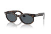 Sunglasses Ray-Ban Wayfarer Oval RB 2242 (902/R5)