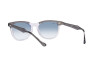 Sunglasses Ray-Ban Eagle Eye RB 2398 (13553F)