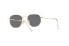 Sunglasses Ray-Ban Hexagonal RB 3548N (001/R5)