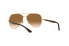 Sonnenbrille Ray-Ban RB 3675 (001/51)