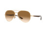 Sonnenbrille Ray-Ban RB 3675 (001/51)