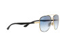 Sonnenbrille Ray-Ban RB 3683 (90003F)