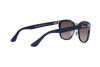 Occhiali da Sole Ray-Ban Clyde RB 3709 (004/5J)