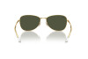 Sunglasses Ray-Ban RB 3733 (001/31)