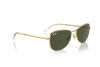 Sunglasses Ray-Ban RB 3733 (001/31)