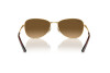 Lunettes de soleil Ray-Ban RB 3733 (001/M2)