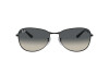 Sunglasses Ray-Ban RB 3733 (002/71)