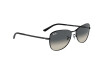 Sunglasses Ray-Ban RB 3733 (002/71)