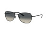 Sunglasses Ray-Ban RB 3733 (002/71)