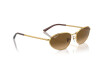 Lunettes de soleil Ray-Ban RB 3734 (001/M2)