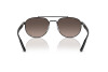 Sunglasses Ray-Ban RB 3736CH (002/5J)