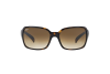 Солнцезащитные очки Ray-Ban RB 4068 (710/51)