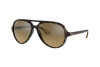 Occhiali da Sole Ray-Ban Scuderia Ferrari Collection RB 4125M (F6093K)