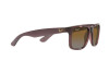 Occhiali da Sole Ray-Ban Justin RB 4165 (6597T5)