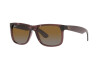 Occhiali da Sole Ray-Ban Justin RB 4165 (6597T5)