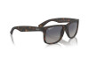 Sunglasses Ray-Ban Justin RB 4165 (865/8S)