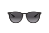 Солнцезащитные очки Ray-Ban Erika RB 4171 (622/8G)